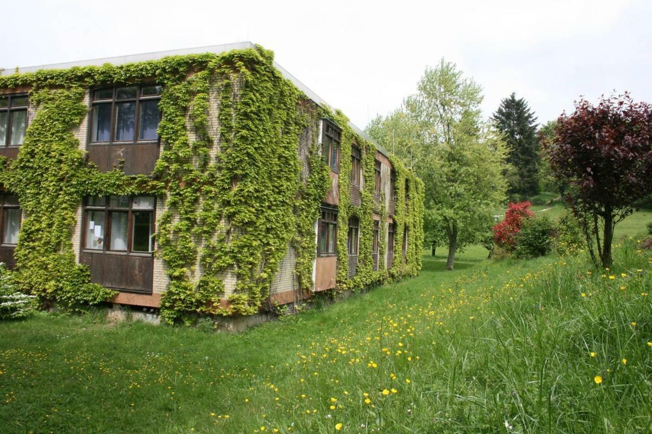 Blumenmeer Appartment Ober-Hambach Екстериор снимка